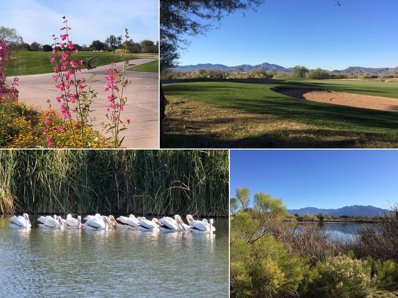 Crooked Tree Bar & Grill