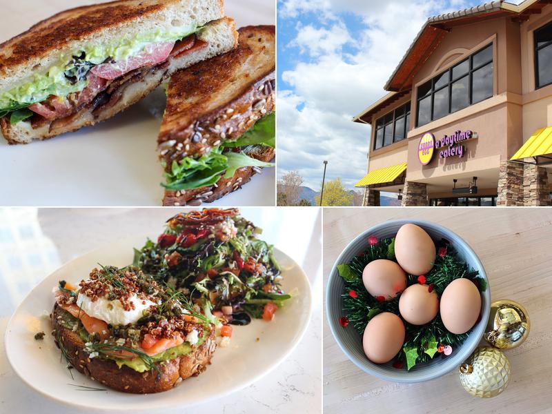 Urban Egg 9420 Briar Village Point, Colorado Springs