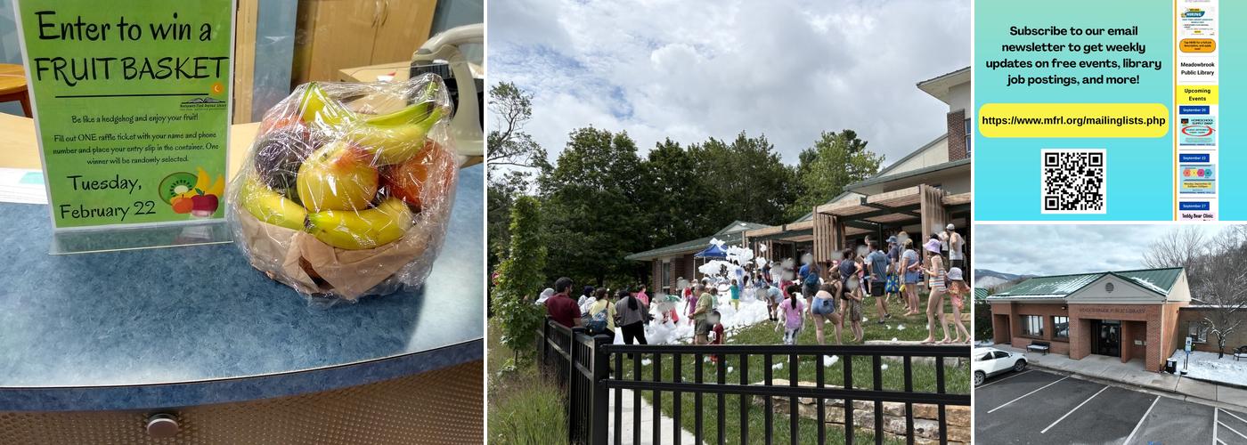 Meadowbrook Public Library