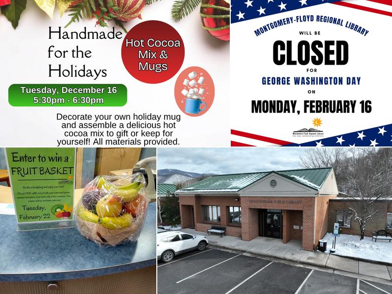 Meadowbrook Public Library 267 Alleghany Spring Rd, Shawsville