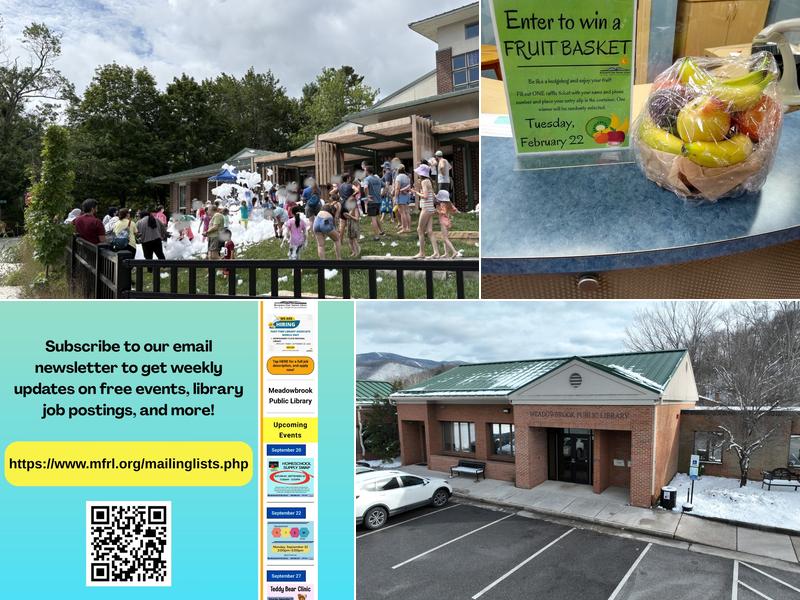 Meadowbrook Public Library