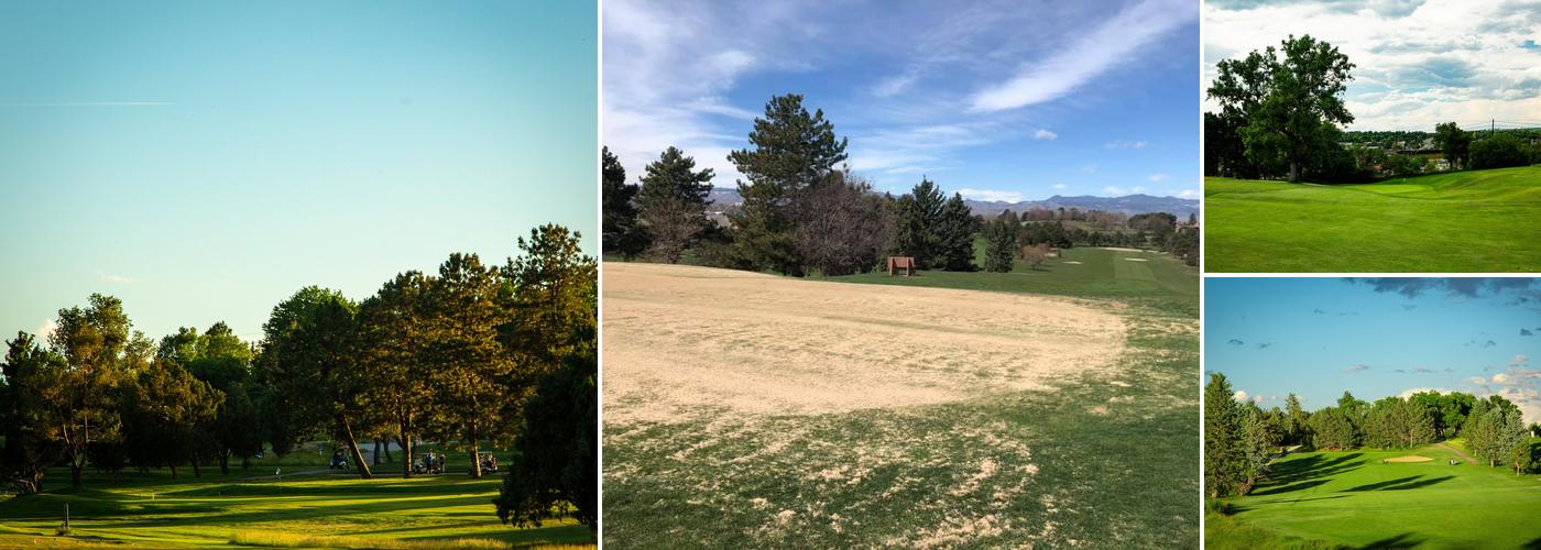 Willis Case Bar & Grill