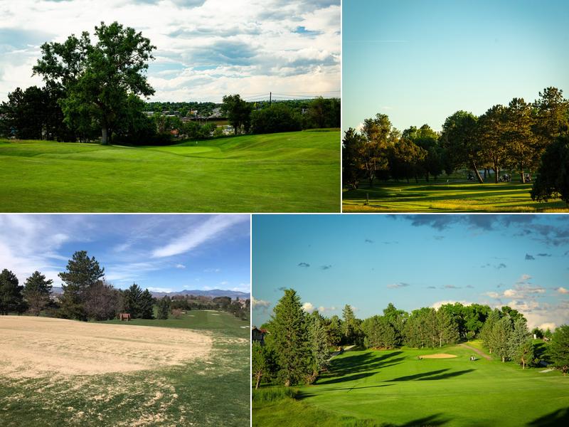 Willis Case Bar & Grill