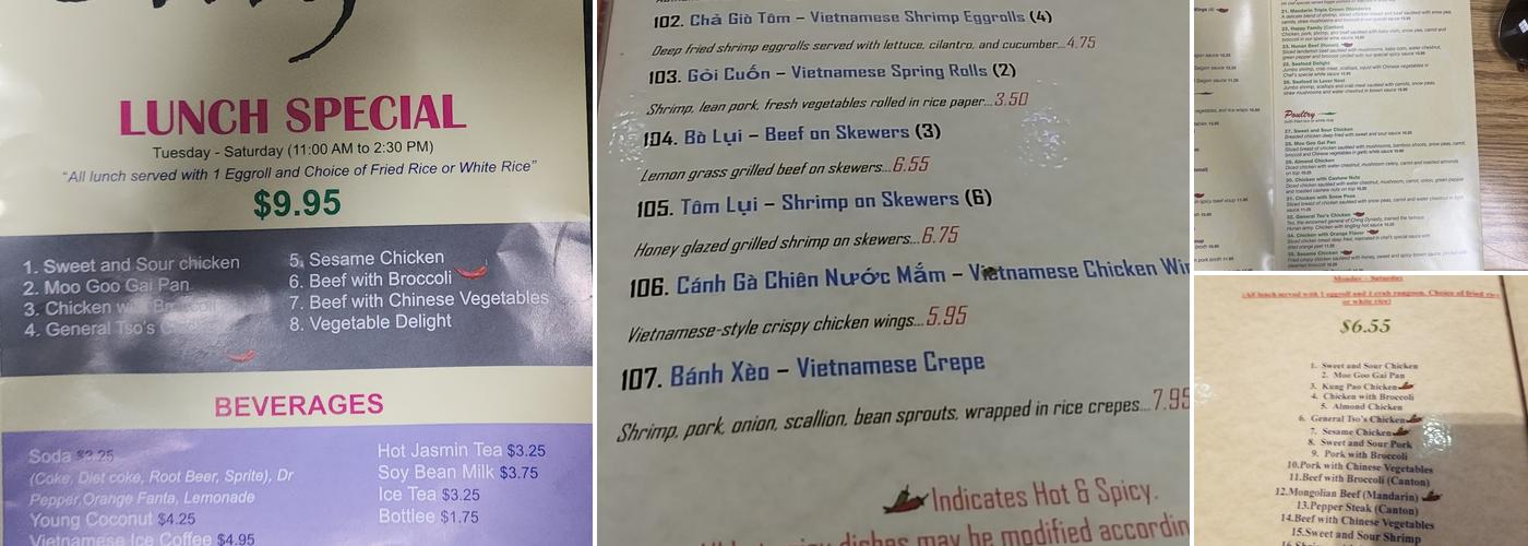 Saigon Vietnamese & Chinese Cuisine Menu