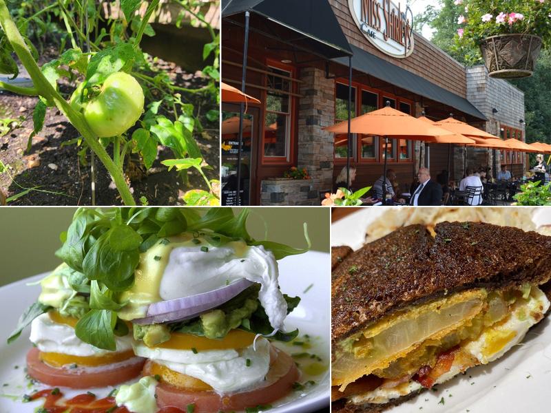 Miss Shirley's Cafe, Roland Park