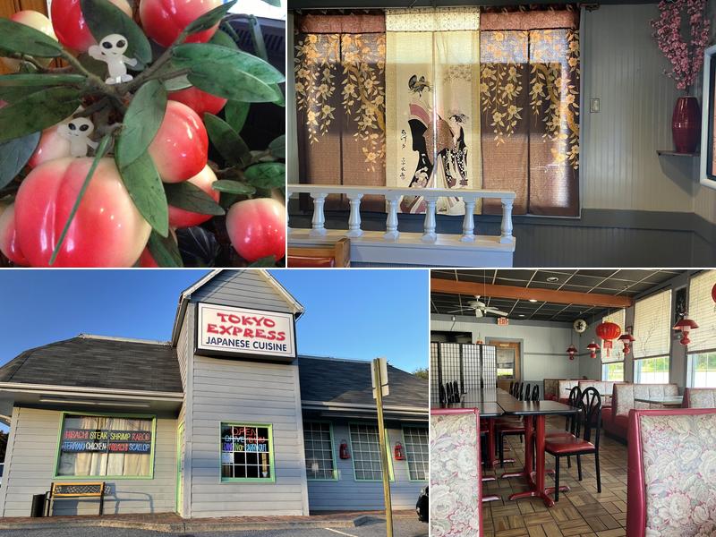 Tokyo Express 1170 Memorial Blvd, Martinsville