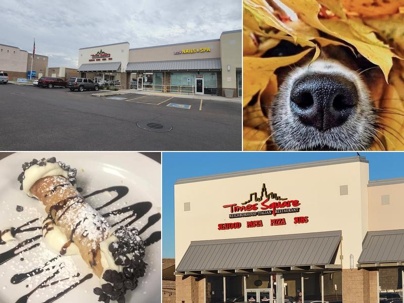 Times Square Litchfield Park