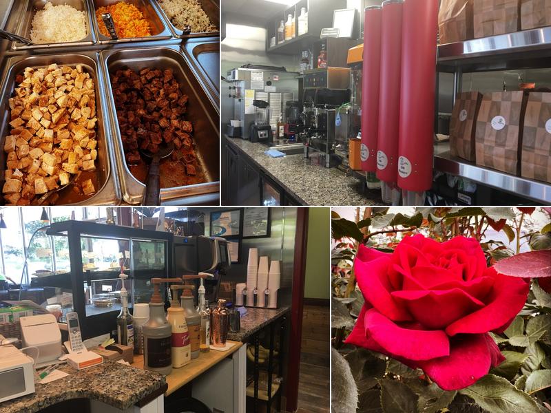 My Avocado Mexican Grill With A Mediterranean Twist