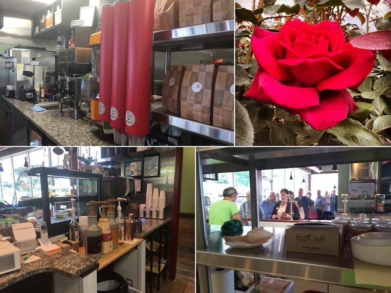 My Avocado Mexican Grill With A Mediterranean Twist