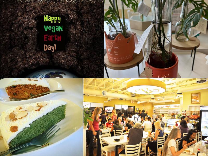 Loving Hut Glendale, AZ 3515 W Union Hills Dr, Glendale