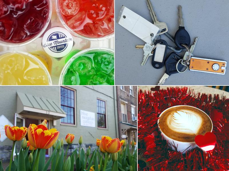 Blue Mountain Coffees