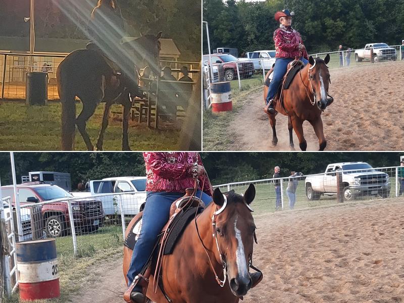 Potosi Saddle CLUB Bates Creek, Potosi