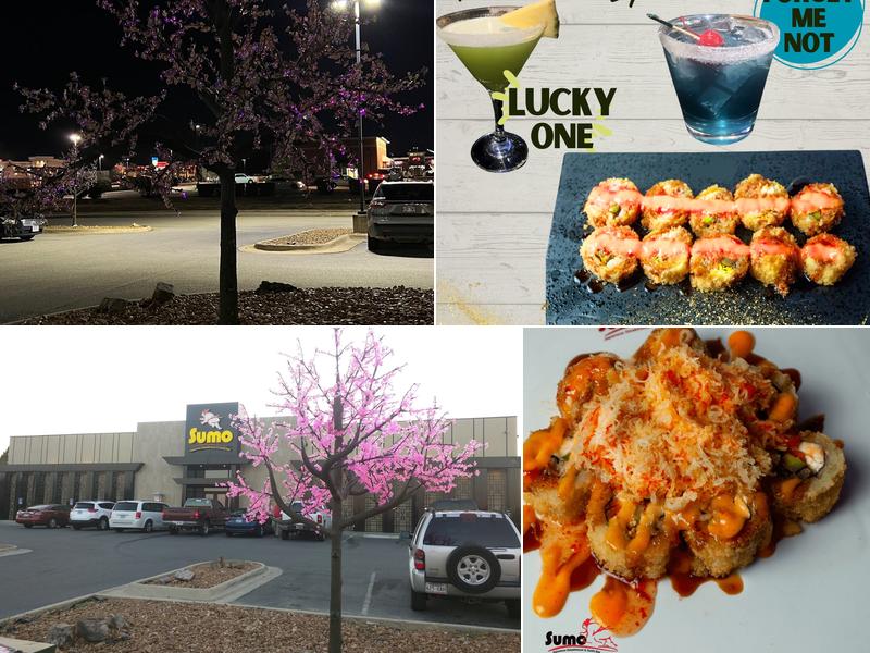 Sumo Japanese Steakhouse