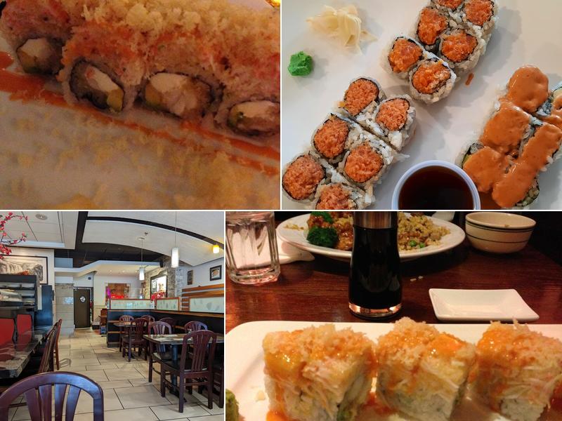 Rice Fusion 45 Greentree Dr, Dover