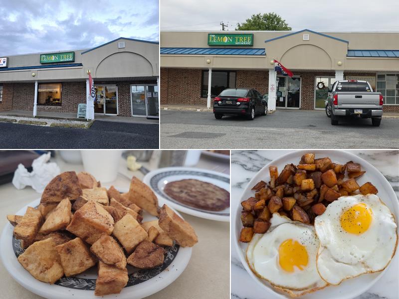 Lemon Tree Restaurant 416 E Savannah Rd, Lewes