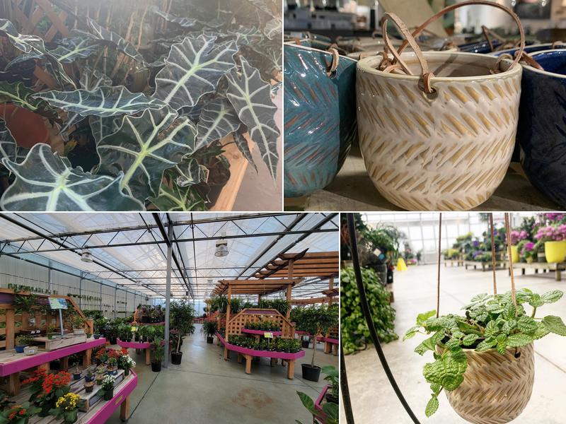 Anderson's Newport News