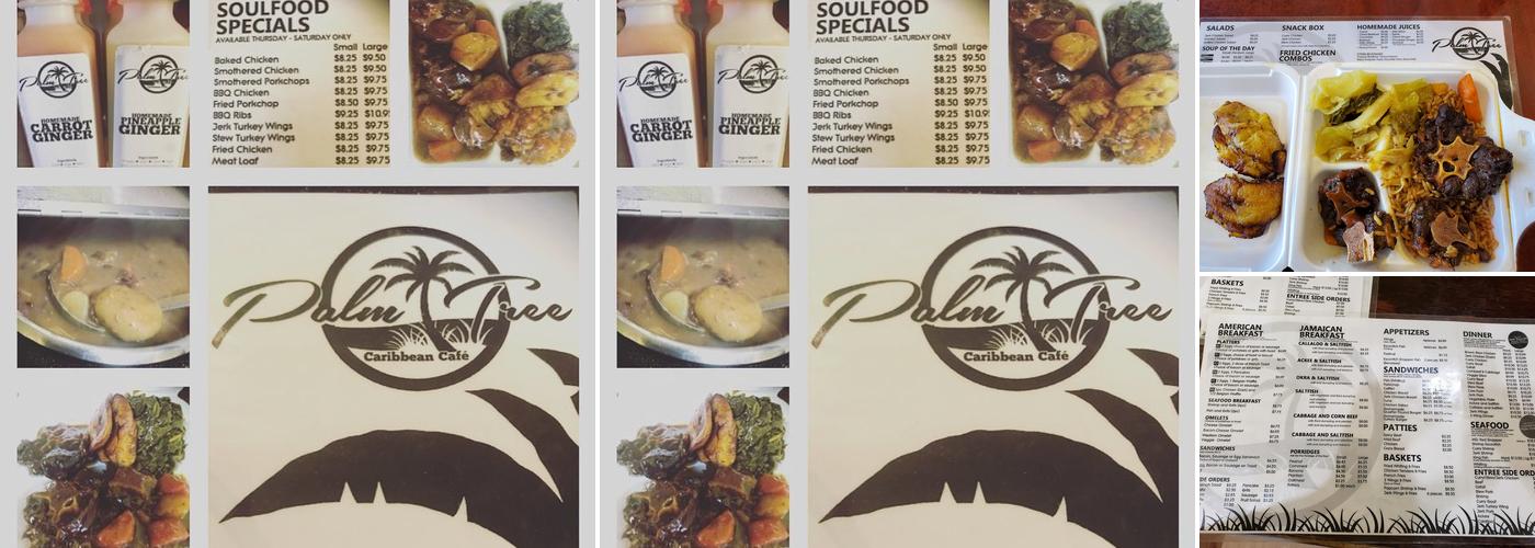 Palm Tree Caribbean Cafe Menu