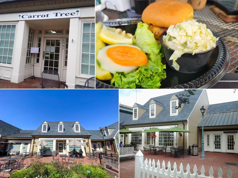 Carrot Tree Kitchens