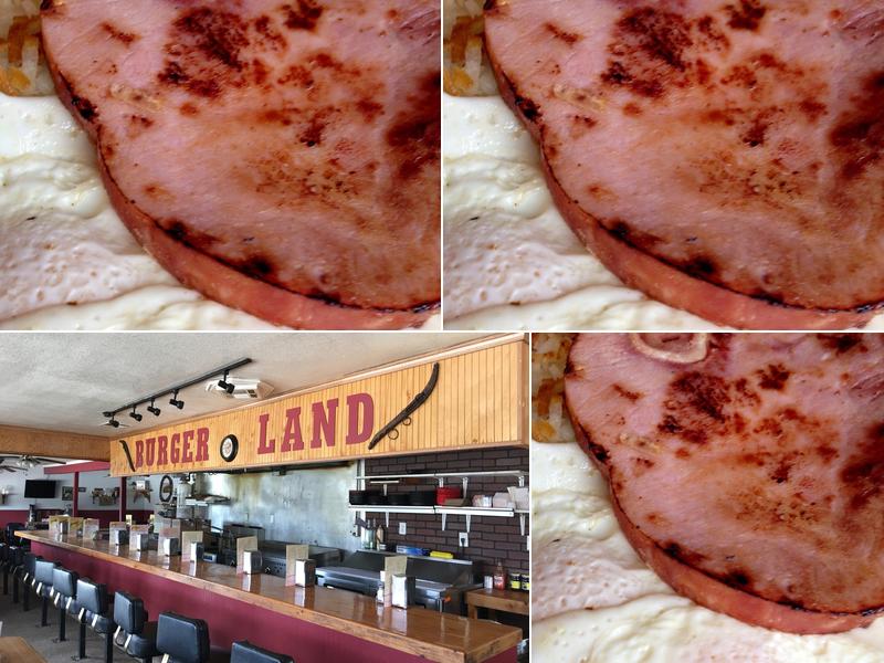 BurgerLand 802 E Pridemore Dr, Lincoln