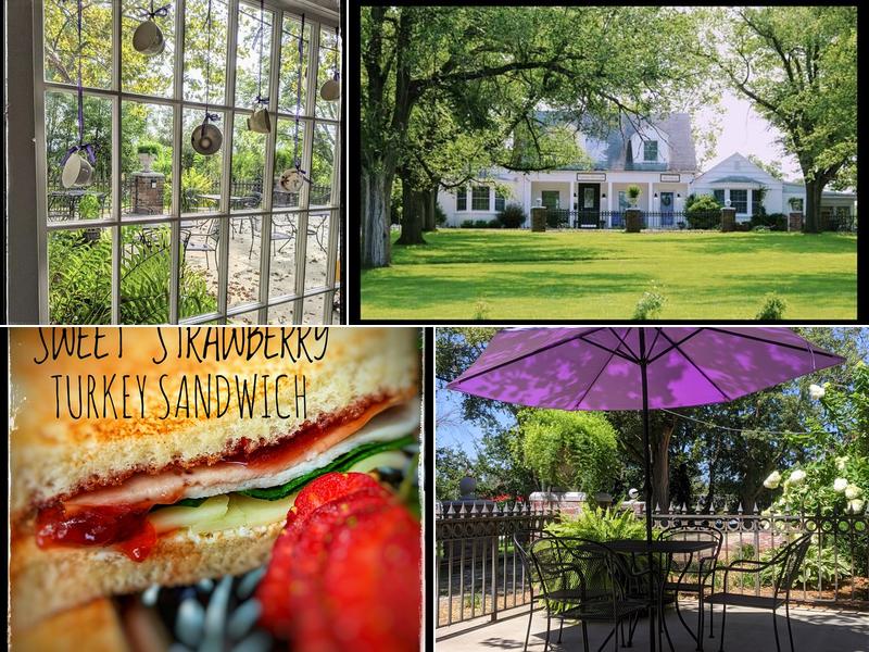 The Lavender Tea Room