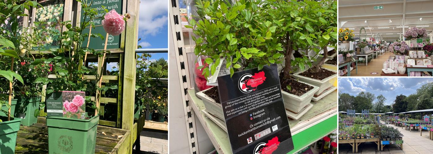 Squire’s Garden Centre