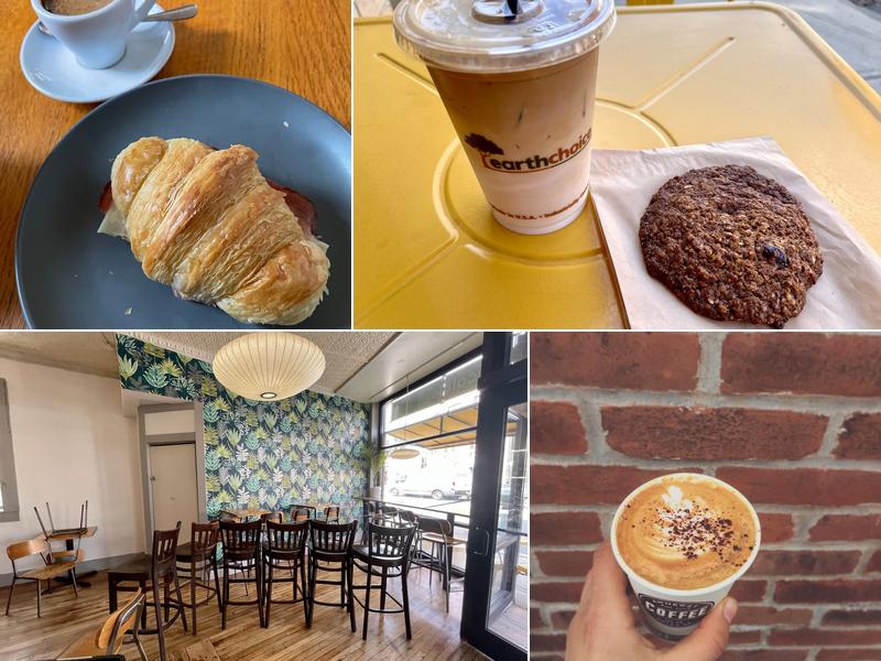 Catalpa Coffee 269 Pleasant St, Northampton