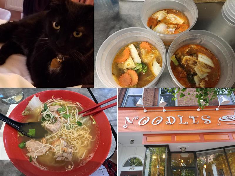 Noodles Restaurant 257 Main St, Northampton