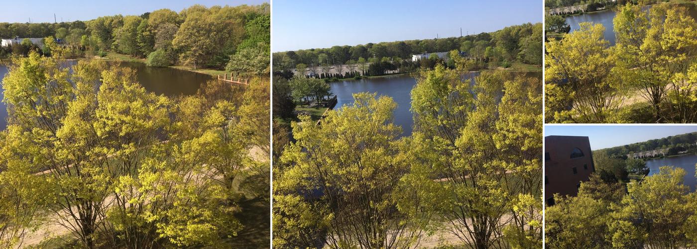 P & J's Courthouse Cafe