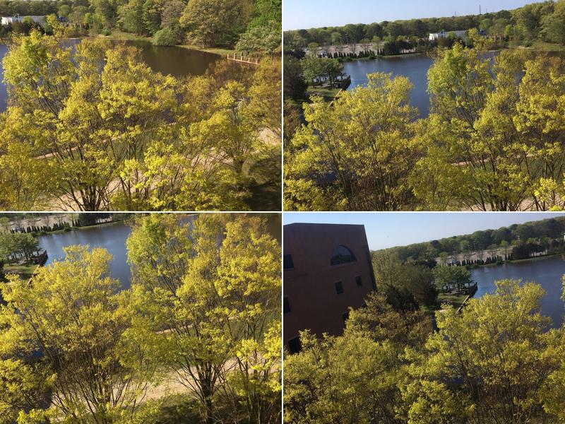 P & J's Courthouse Cafe