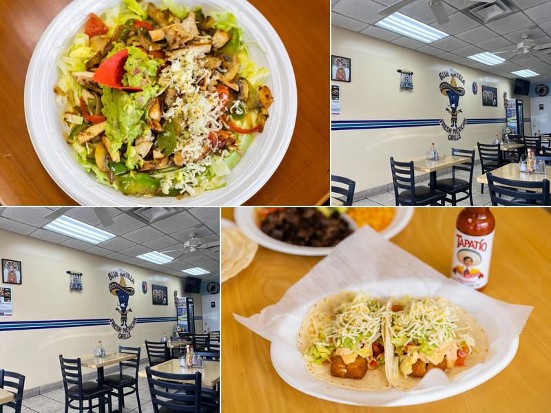 Blue Tortilla Fresh Mexican Grille
