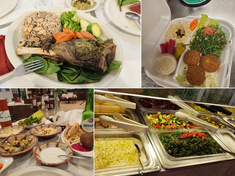 Mandaloun Mediterranean Cuisine 9862 Old Baymeadows Rd, Jacksonville