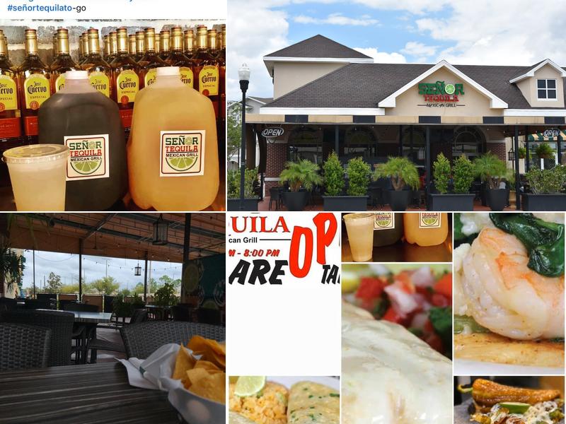 Señor Tequila Mexican Grill - Westchase