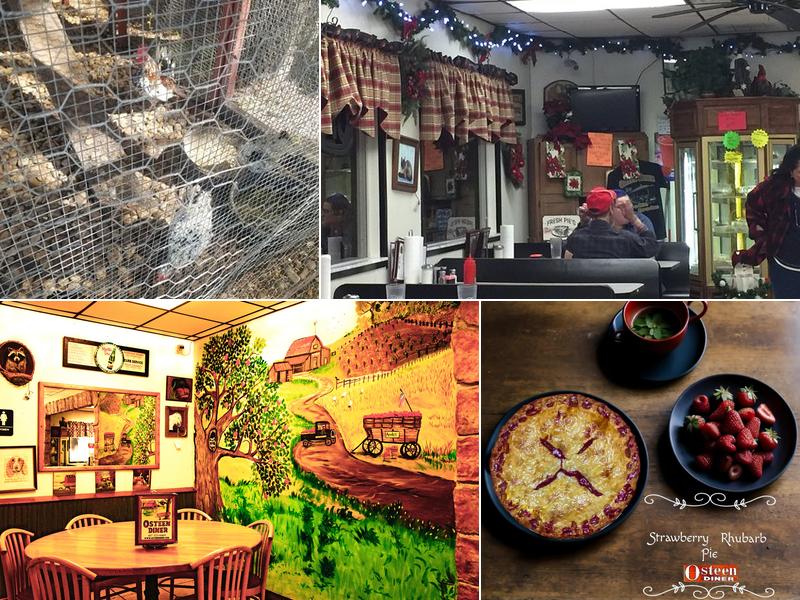 Osteen Diner 195 State Rte 415, Osteen
