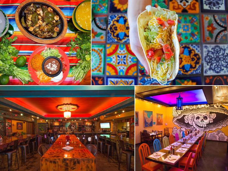 Nueva Cantina - St. Pete