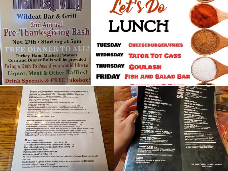 Wild Cat Mountain Bar & Grill Menu