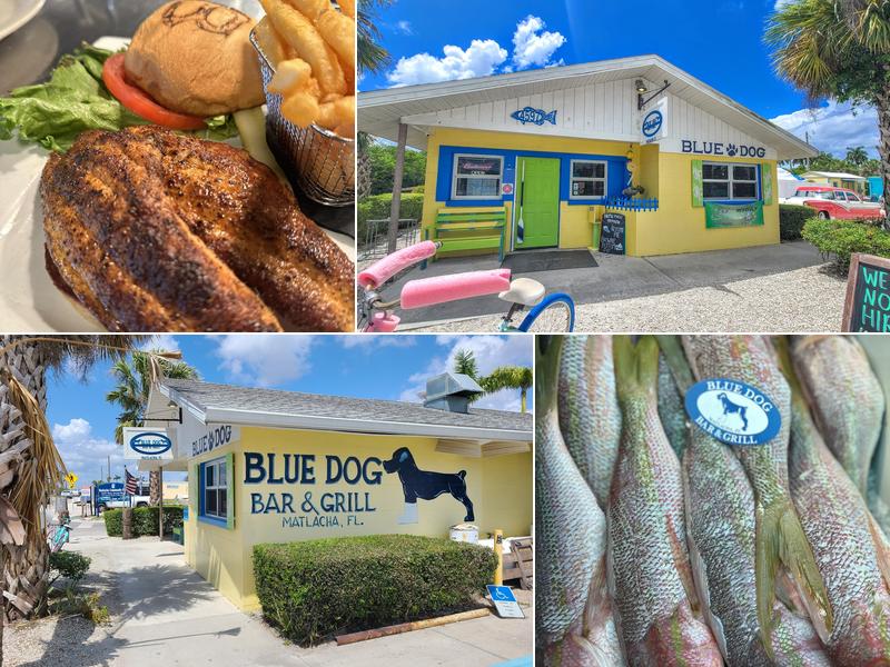 Blue Dog Bar & Grill