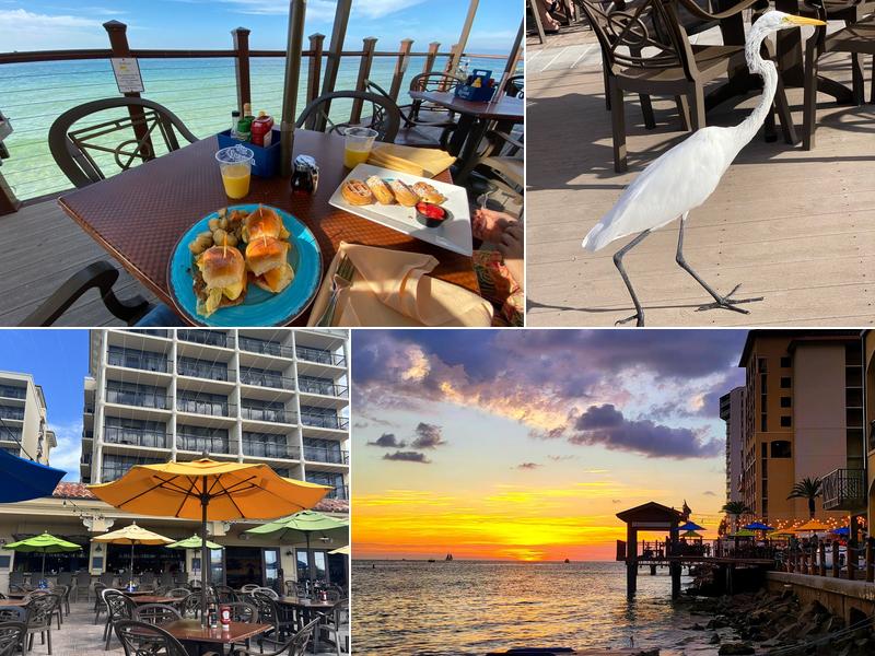 Jimmy's Fish House & Iguana Bar