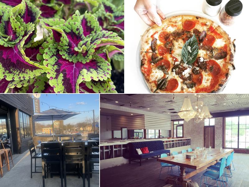 1889 Pizza Napoletana