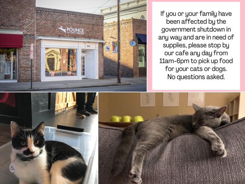 Pounce Cat Cafe + Wine Bar