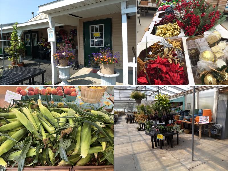 George's Market and Cafe