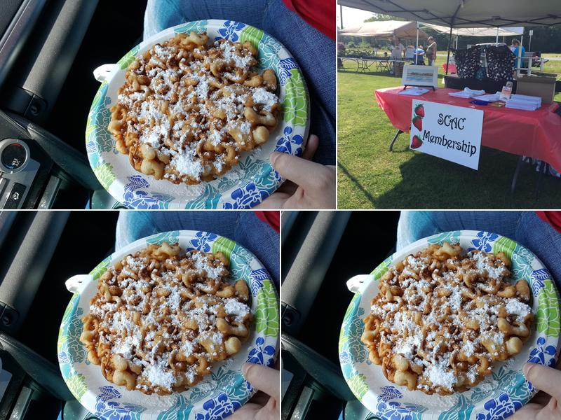 Somerset County, Strawberry Festival Potty Placement