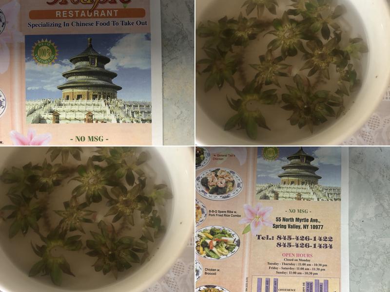 Maple Avenue 55 N Myrtle Ave, Spring Valley