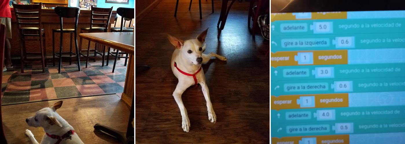 Oley & Chuck's Rainbow Bar & Grill