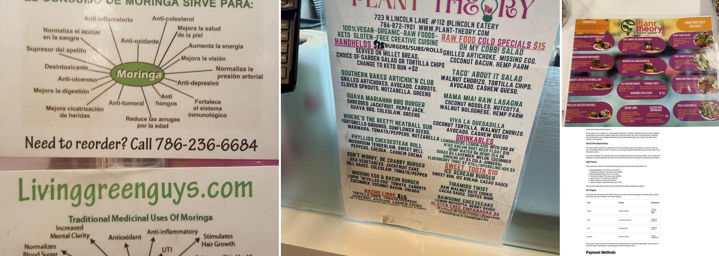 Plant Theory Creative Cuisine Menu