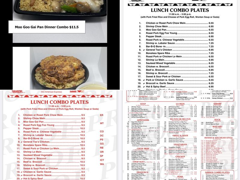 Hong Kong Chinese Restaurant Menu