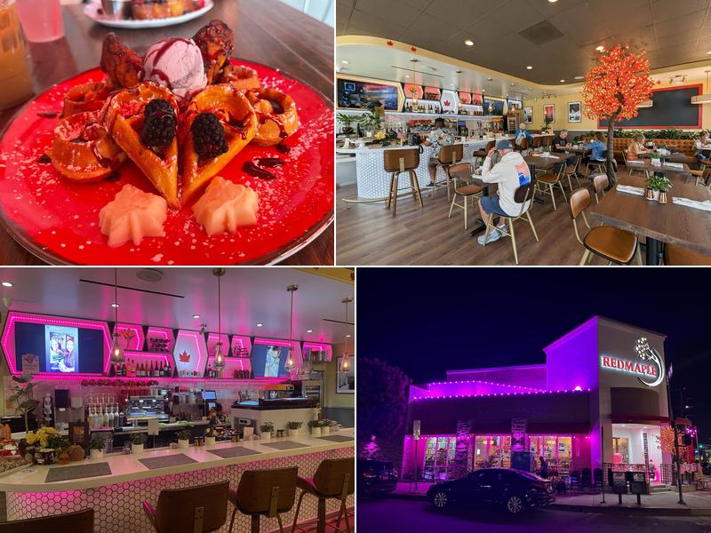 Red Maple Toluca Lake