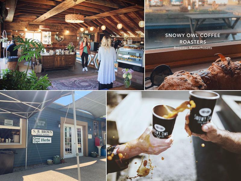 Snowy Owl Coffee Roasters