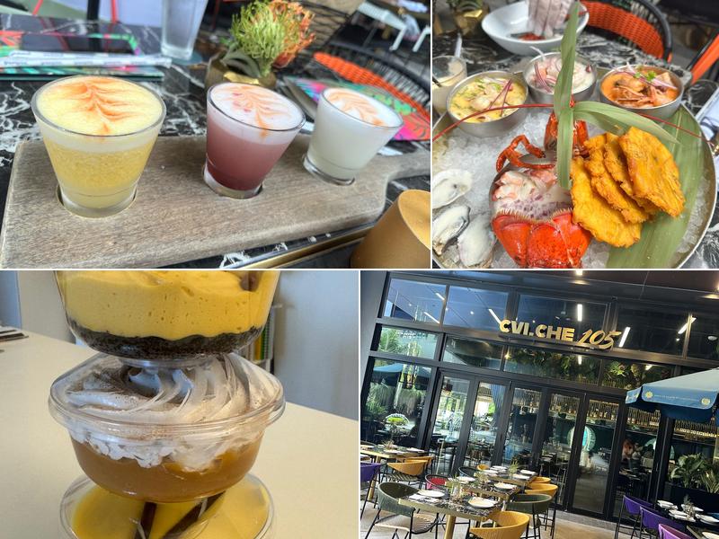 CVI.CHE 105 19501 Biscayne Blvd, Aventura