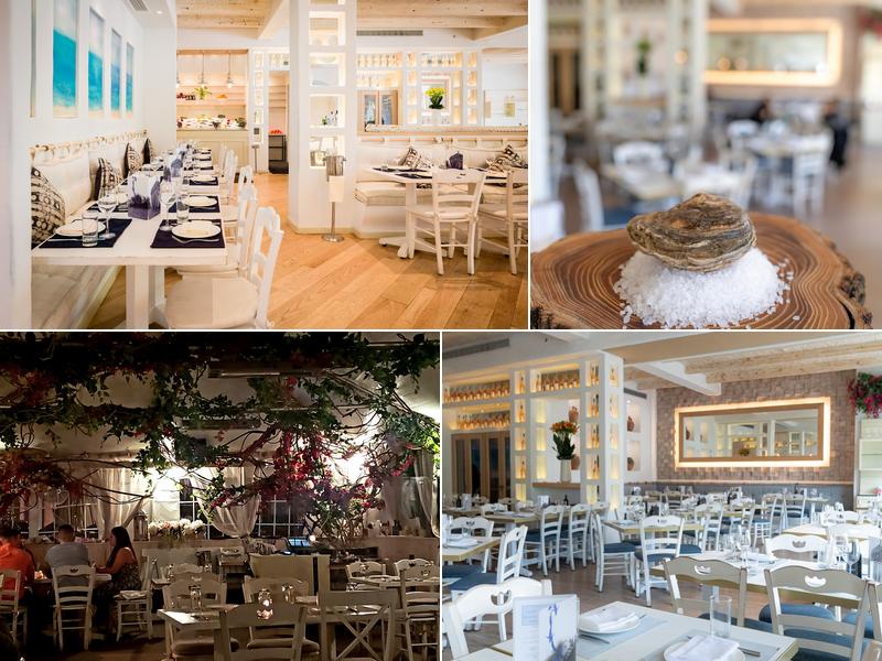 Kyma 1446 Old Northern Blvd, Roslyn