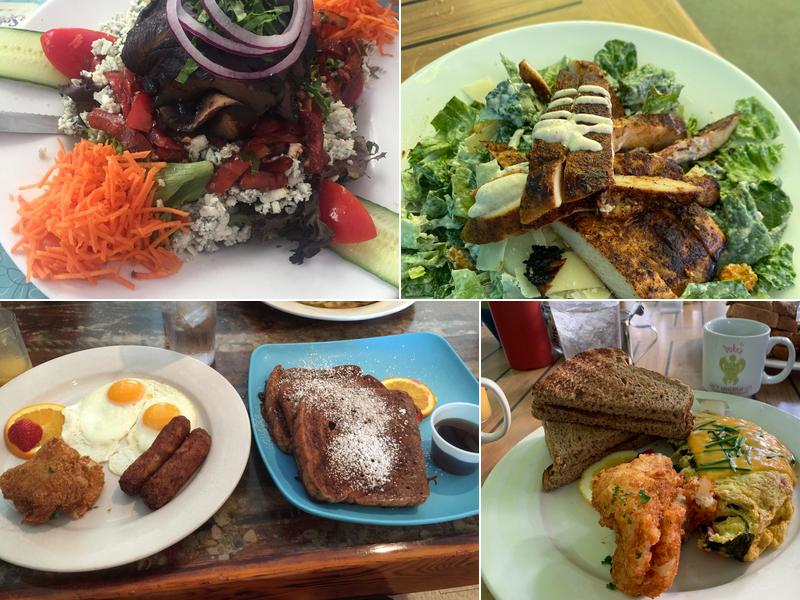 Lazy Loggerhead Cafe